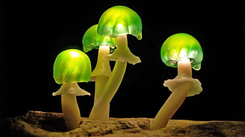 هنرمند آلمانی و ساخت چراغ‌هایی متفاوت از جنس طبیعت-