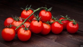 خواص مصرف مداوم گوجه فرنگی