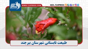 طبیعت تابستانی شهرستان بیرجند