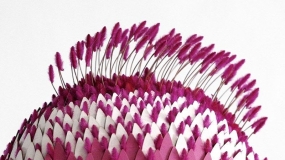 هنرمند مالزیایی و ساخت گل‌های عجیب اما جالب توجه