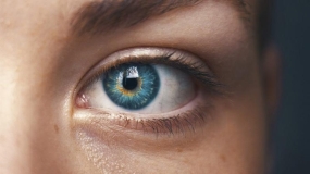 هفت خوراکی مفید برای سلامت چشم و بینایی
