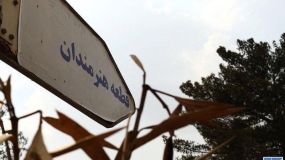 هنرمندانی که در سال 95 دارفانی را وداع گفتند