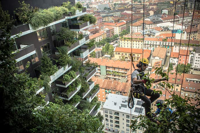 استفانو بوئری معمار ایتالیایی و ساخت جنگل عمودی در نانجینگ چین