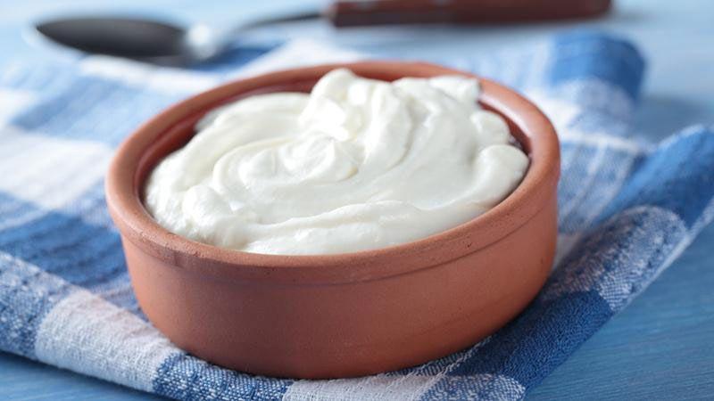 غذاهای تخمیری