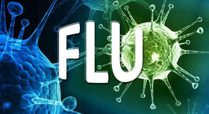 آنفولانزا (724press.com)