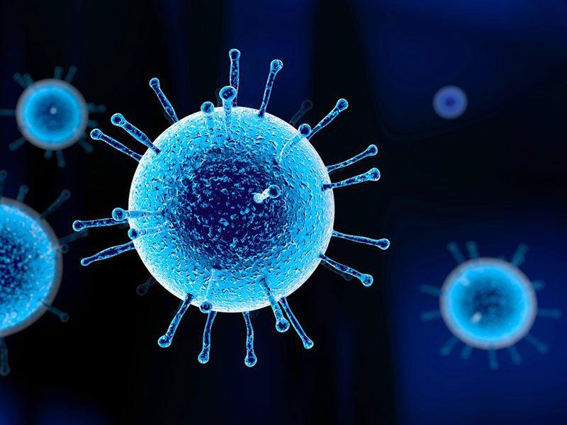 ویروس آنفولانزا (724press.com)