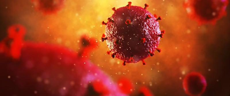 کووید-19-724press.com