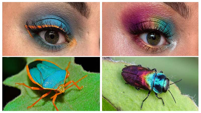 آرایش و سایه چشم خلاقانه با الهام از حشرات رنگارنگ