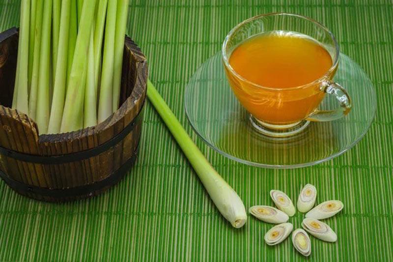 چای مقوی و مغذی علف لیمو- 724press.com