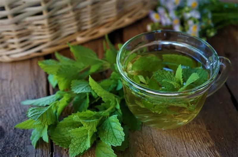 دم کرده ملیسا-724press.com