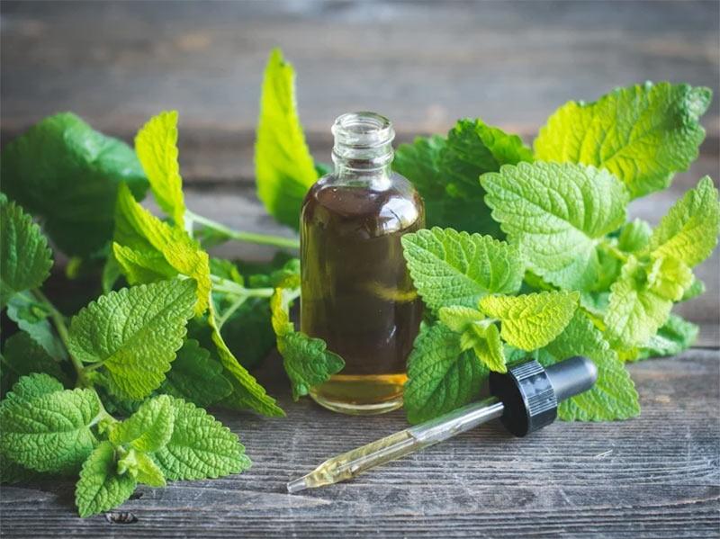 روغن بادرنجبویه-724press.com