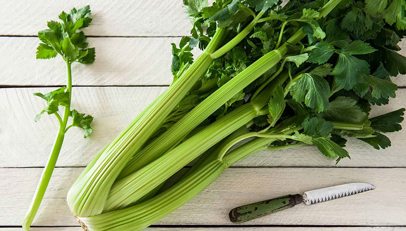 کرفس - 724press.com