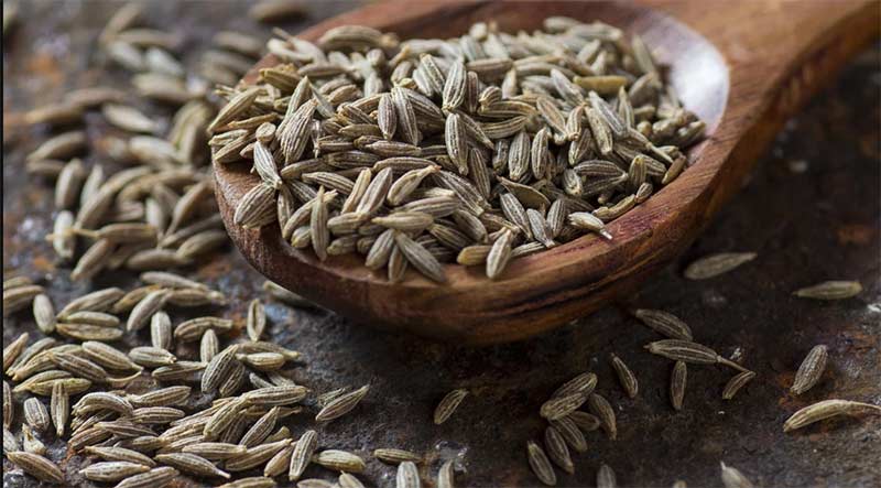 دانه رازیانه-724press.com