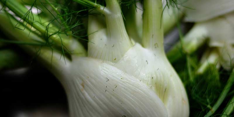 رازیانه خام و سرسبز-724press.com