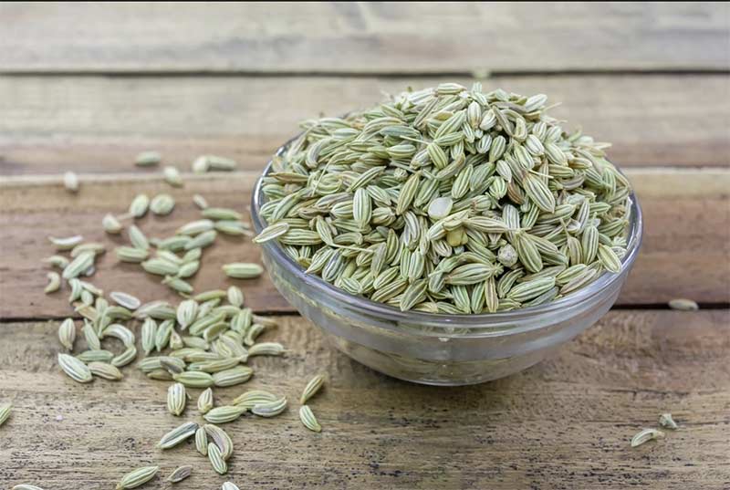 یک کاسه دانه رازیانه-724press.com