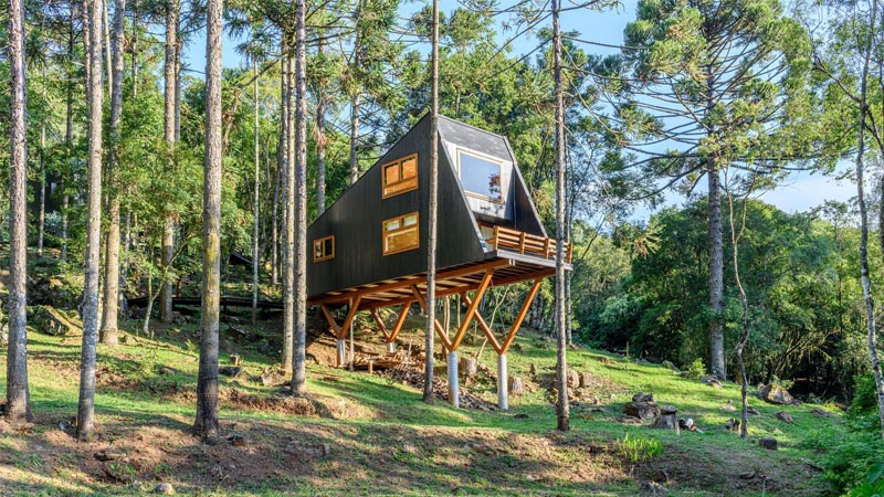 طراحی خانه درختی جذاب در جنگلهای برزیل