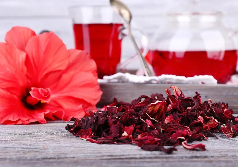 برگ خشک شده گل هیبیسکوس-724press.com