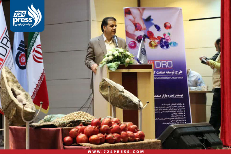 کامرانی فرد مدیرکل فنی و حرفهای خراسان جنوبی