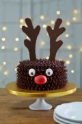 christmas-cake-12