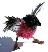 cd-animal-14