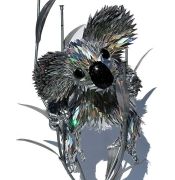 cd-animal-2