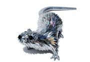 cd-animal-3