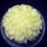food-carving-gaku-13-58bd1205e8e07700