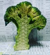 food-carving-gaku-55-58bd1277413d6700