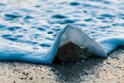 wave-photography-ocean-sea-65880