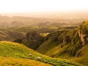 newzealand-16