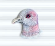 Embroidered-Bird-Brooches-by-Paulina-Bartnik-591164460ece7880
