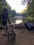 Companycat-5991ad0dafbf9880