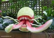 98d00f7fe71e10f07ee2967112ca4439--watermelon-carving-home-for-peculiar-children