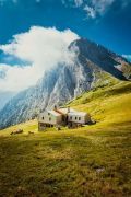Altitude-Fever-Large-5ac64b38ab050880