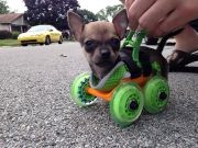 cool-3d-printed-objects-19-5cee8e8e99ea4700