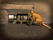 anonymouse-mouse-miniatures-artists-sweden-5f313f7db12ab700