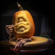 Deane-Arnold-Brings-Pumpkins-to-Life-60df01e74f2f0700