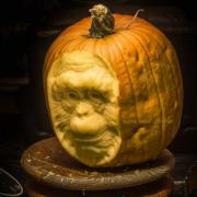 Deane-Arnold-Brings-Pumpkins-to-Life-60df01eac6f23700