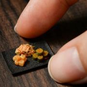 Meet-the-incredible-miniature-works-of-Moto-Tanaka-643804305bef0700