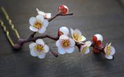 kanzashi-sakae-1