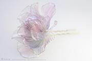 kanzashi-sakae-11