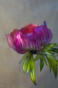kanzashi-sakae-3