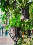 quirky-planter-400x533