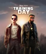 training-day-6535bffe6df68700