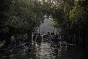 Mangrove-Photography-Awards-2023-Celebrating-life-in-the-Mangroves-6538cb5fe639c700