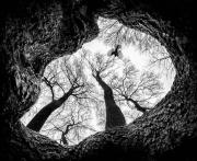 Nature-Photography-1