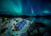Nature-Photography-15