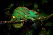 Nature-Photography-23