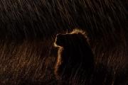 Nature-Photography-26