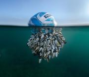Nature-Photography-9